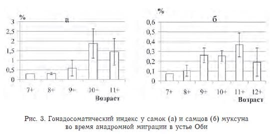 Гонадосоматический индекс у самок (а) и самцов (б) муксуна во время анадромной миграции в устье Оби