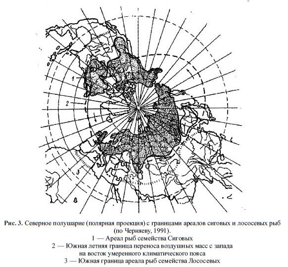 Северное полушарие (полярная проекция) с границами ареалов сиговых и лососевых рыб