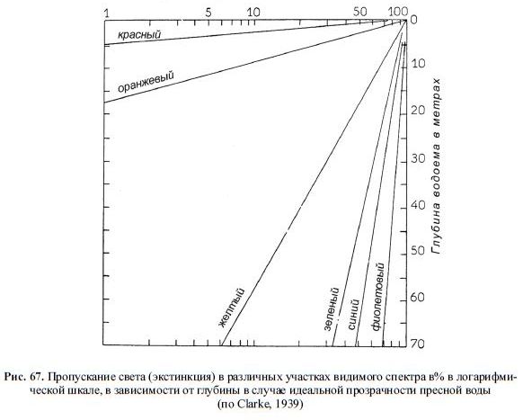 Пропускание света (экстинкция) в различных участках видимого спектра в% в логарифми- ческой шкале, в зависимости от глубины в случае идеальной прозрачности пресной воды (по Clarke, 1939)