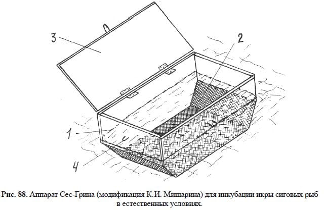 Аппарат Сес-Грина (модификация К. И. Мишарина) для инкубации икры сиговых рыб в естественных условиях.